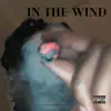 In the Wind (feat. T. Trendin) - Single album lyrics, reviews, download