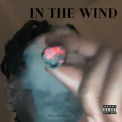 In the Wind (feat. T. Trendin) - Single by Tai Trendin album reviews, ratings, credits