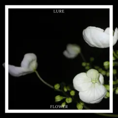 Flower - Single by Lure album reviews, ratings, credits