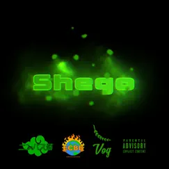 Shego (feat. AxL. & Fulwylie) - Single by PDK album reviews, ratings, credits