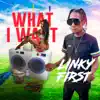 What I Want - Single album lyrics, reviews, download