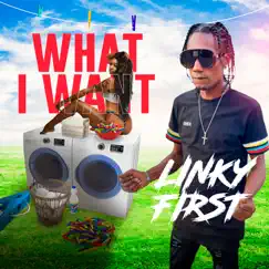 What I Want - Single by Linky First album reviews, ratings, credits