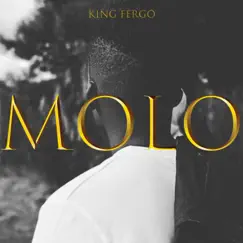 Molo (feat. Structure, Caro P, Maviwest & Sphesh) - Single by King Fergo album reviews, ratings, credits