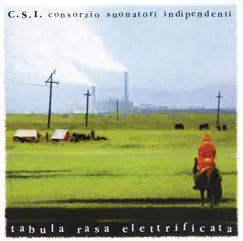 Tabula Rasa Elettrificata by C.S.I. album reviews, ratings, credits