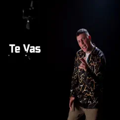 Te vas - Single by Yair album reviews, ratings, credits