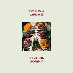 Tumbas a Jardines by Elevation Worship album reviews, ratings, credits