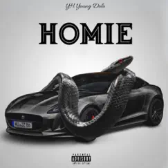 Homie - Single by YH Young Dolo album reviews, ratings, credits