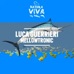 Mellowtronic - Single by Luca Guerrieri album reviews, ratings, credits