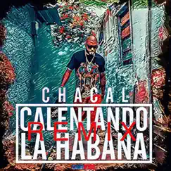 Calentando la Habana (Dj Unic & Team Bpm Remix) Song Lyrics