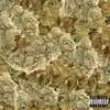 Orange Kush - Single album lyrics, reviews, download