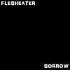 Sorrow - Single album lyrics, reviews, download