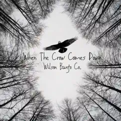 When the Crow Comes Down - Single by Wilson Banjo Co. album reviews, ratings, credits