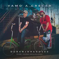 Vamo' a Crecer (feat. Dellasierra) Song Lyrics