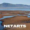 Netarts (feat. BrandonLee Cierley) - Single album lyrics, reviews, download