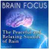 The Peaceful & Relaxing Sounds of Rain - Brain Focus album lyrics, reviews, download