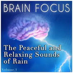 Rain 5 (Brain Focus - Alfa State) Song Lyrics