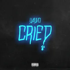 Cried - Single by Yayvo album reviews, ratings, credits