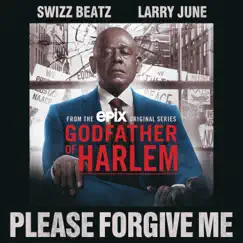 Please Forgive Me (feat. Swizz Beatz & Larry June) Song Lyrics