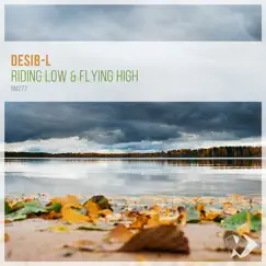 Riding Low & Flying High - Single by Desib-L album reviews, ratings, credits