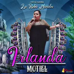 Con Su Cumbia La Roba Maridos by IRLANDA MONTIEL album reviews, ratings, credits