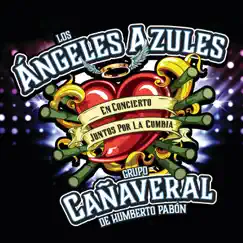 Juntos por la Cumbia (Live) by Los Ángeles Azules & Grupo Cañaveral de Humberto Pabón album reviews, ratings, credits