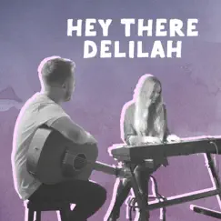 Hey There Delilah Song Lyrics