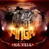 Pinga na Veia (feat. Davi e Fernando) [Remix] - Single album lyrics, reviews, download