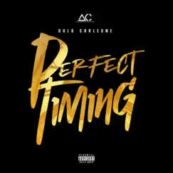 Perfect Timing - Single by Dulo Corleone album reviews, ratings, credits