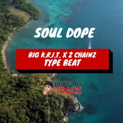 Soul Dope (Instrumental) - Single by Beatz by Trace album reviews, ratings, credits