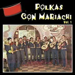 Polkas Con Mariachi, Vol. 1 (Instrumental) by Mariachi Mexico de Pepe Villa album reviews, ratings, credits