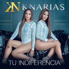 Tu Indiferencia - Single by K-Narias album reviews, ratings, credits