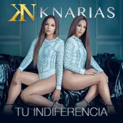 Tu Indiferencia Song Lyrics