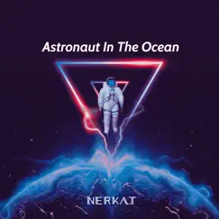 Astronaut in the Ocean Song Lyrics