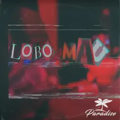 Lobo Mau - Single by Paradise gang, 77, Pai da Fac, Cave & Obarberin7 album reviews, ratings, credits