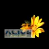 Yellow Flower album lyrics, reviews, download