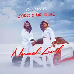 Normal Level (feat. Mr Real & Zoro) - Single by Dj Nana album reviews, ratings, credits