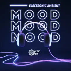 Electronic Ambient Mood: Work & Study Playlist by Dj Vibes EDM album reviews, ratings, credits