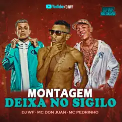 Montagem - Deixa no Sigilo (feat. Mc Don Juan & Mc Pedrinho) - Single by DJ WF album reviews, ratings, credits