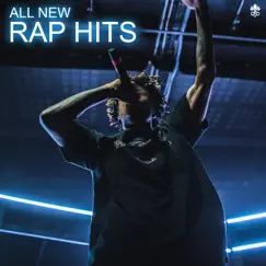 All New Rap Hits by Various Artists album reviews, ratings, credits