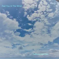 Feel You in the Wind - Single by Tetsuya.Sawatari album reviews, ratings, credits