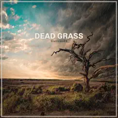 Dead Grass - Single by StaticSix28 album reviews, ratings, credits