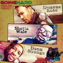 Going Hard (feat. Shatta Wale & Dann Strange) - Single by PinkLane Project & Dwayne Rose album reviews, ratings, credits