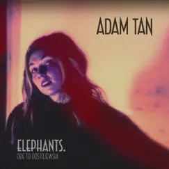 Elephants. - Single by Adam Tan album reviews, ratings, credits