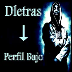 Perfil Bajo - Single by DLetras album reviews, ratings, credits