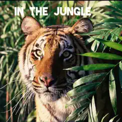 In the Jungle - Single by Djflipmobeatz album reviews, ratings, credits