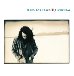 Elemental by Tears for Fears album reviews, ratings, credits