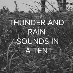 3d Thunderstorm Sounds for Sleep Song Lyrics