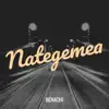 Nategemea - Single album lyrics, reviews, download