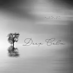 Deep Calm: Good Night Piano Music Session by Emma Feel, Zoe Bells & Sarah Samadhi album reviews, ratings, credits