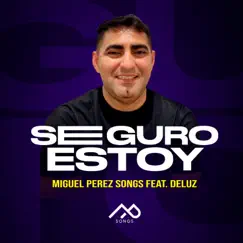 Seguro Estoy (feat. DeLuz) - Single by Miguel Perez Songs album reviews, ratings, credits